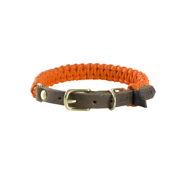 Hundehalsband Touch of Leather Pumpkin orange