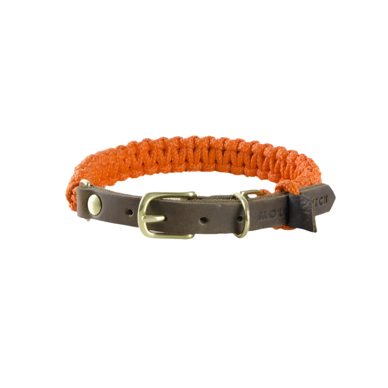 Hundehalsband Touch of Leather Pumpkin orange