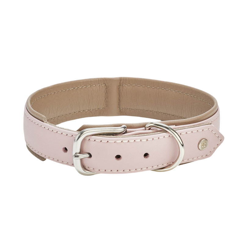 Halsband AMICI Rose