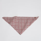 Hundehalstuch Bandana Check Red - Light Green