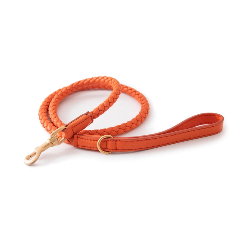 Hundeleine FERDINANDO Tangerine Orange