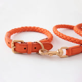 Hundehalsband FERDINANDO Tangerine Orange