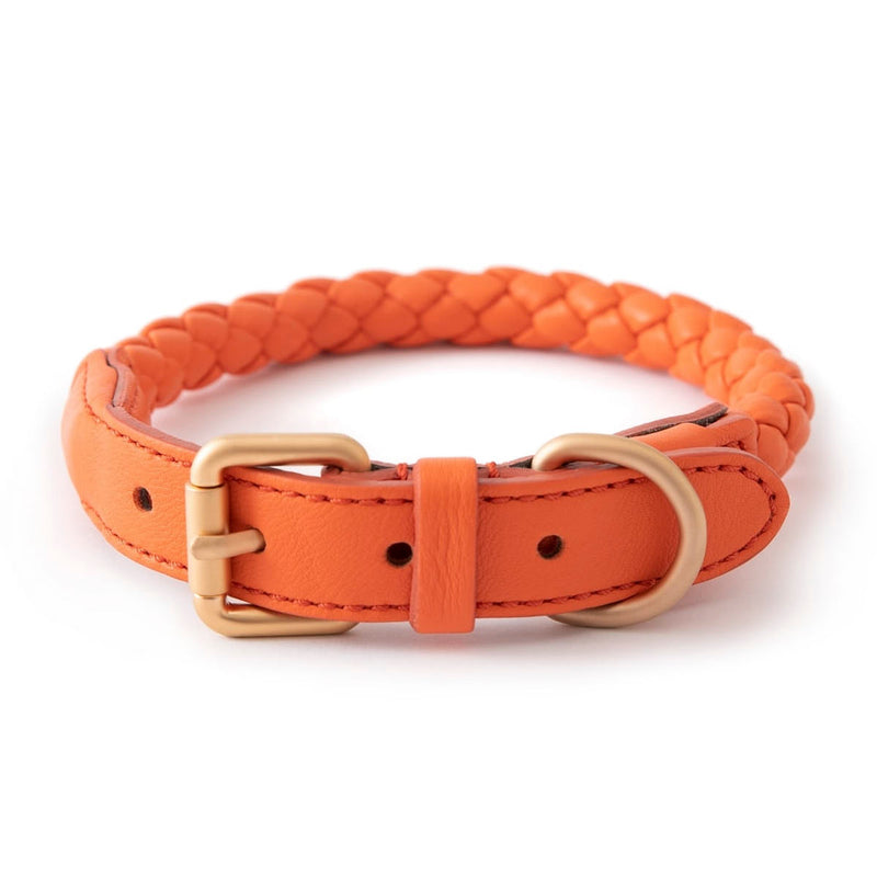 Hundehalsband FERDINANDO Tangerine Orange