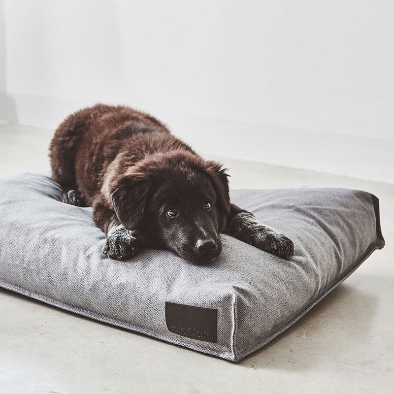 Divo Kiesel Hundekissen