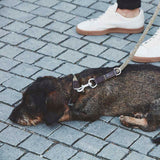 Halsband Lucca Senape/Braun