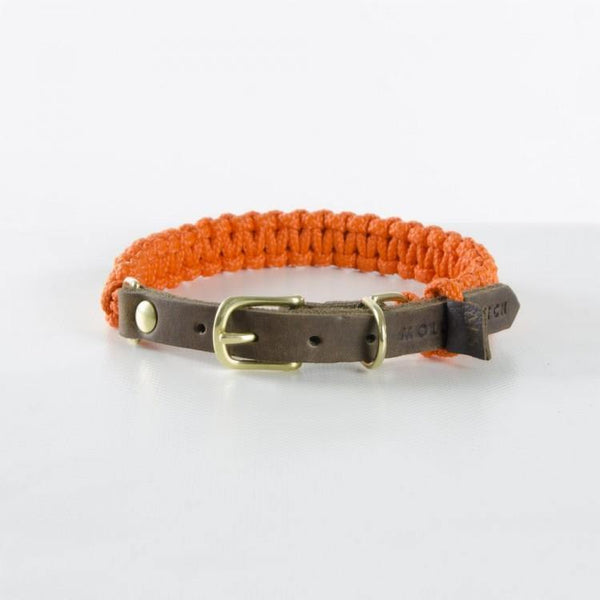 Hundehalsband Touch of Leather Pumpkin orange